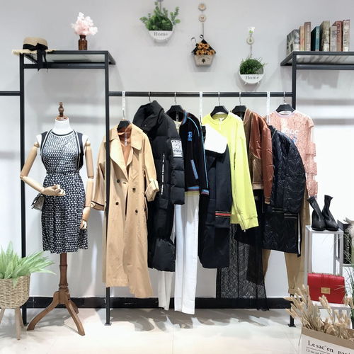 大碼女裝新時尚，批發商機盡顯優雅與舒適